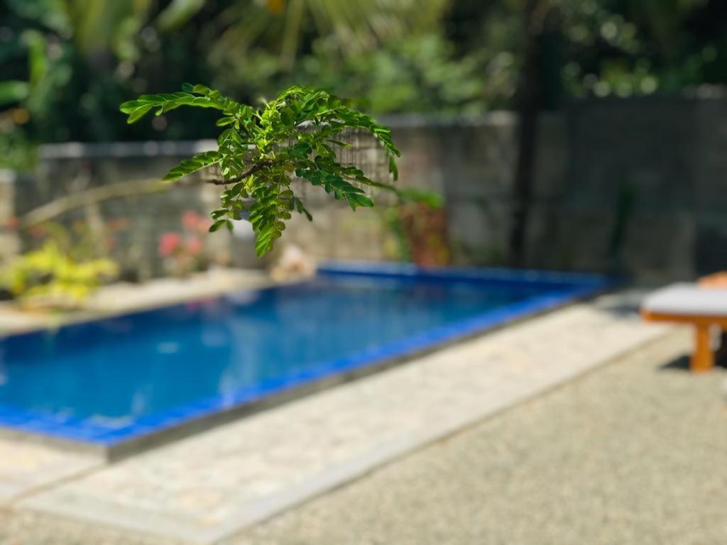 Peaceful Green Villa 우나와투나 외부 사진